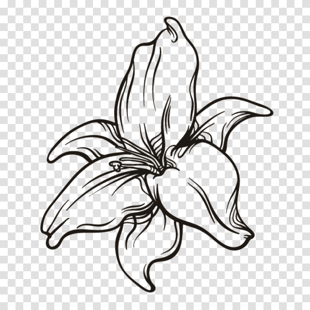 Black And White Flower Free Download, Accessories, Accessory, Jewelry, Stencil Transparent Png