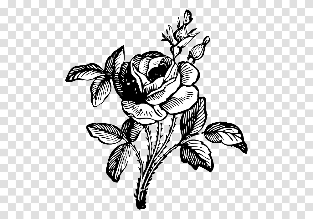 Black And White Flower, Person, Human Transparent Png