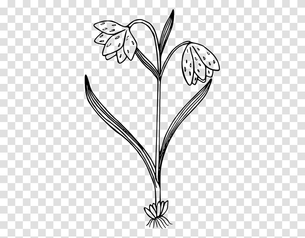 Black And White Flower Plant Clipart, Gray, World Of Warcraft Transparent Png