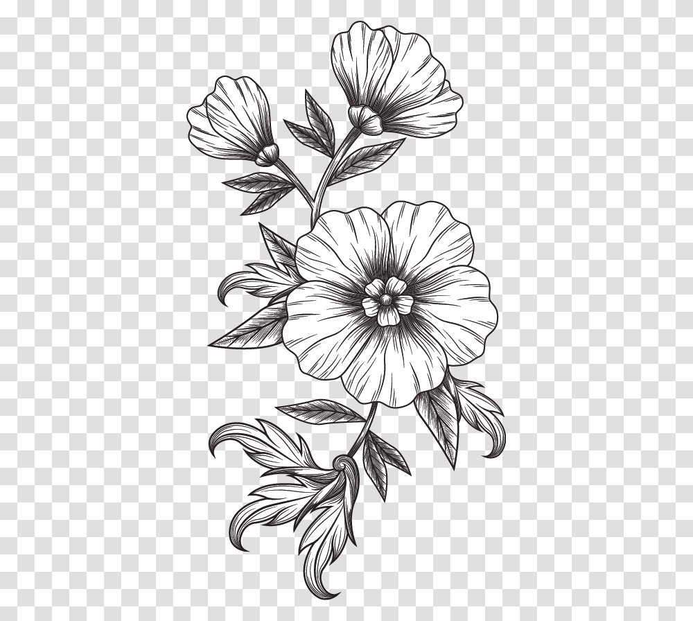 Black And White Flower, Plant, Floral Design, Pattern Transparent Png