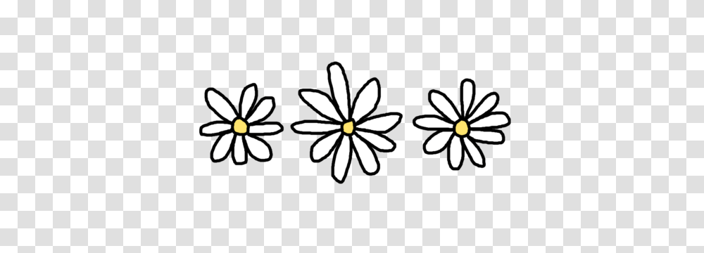 Black And White Flowers Tumblr New Blog, Plant, Blossom, Daisy, Daisies Transparent Png