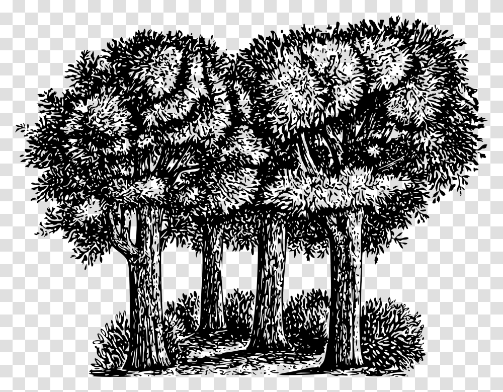 Black And White Forest Clip Art, Gray, World Of Warcraft Transparent Png