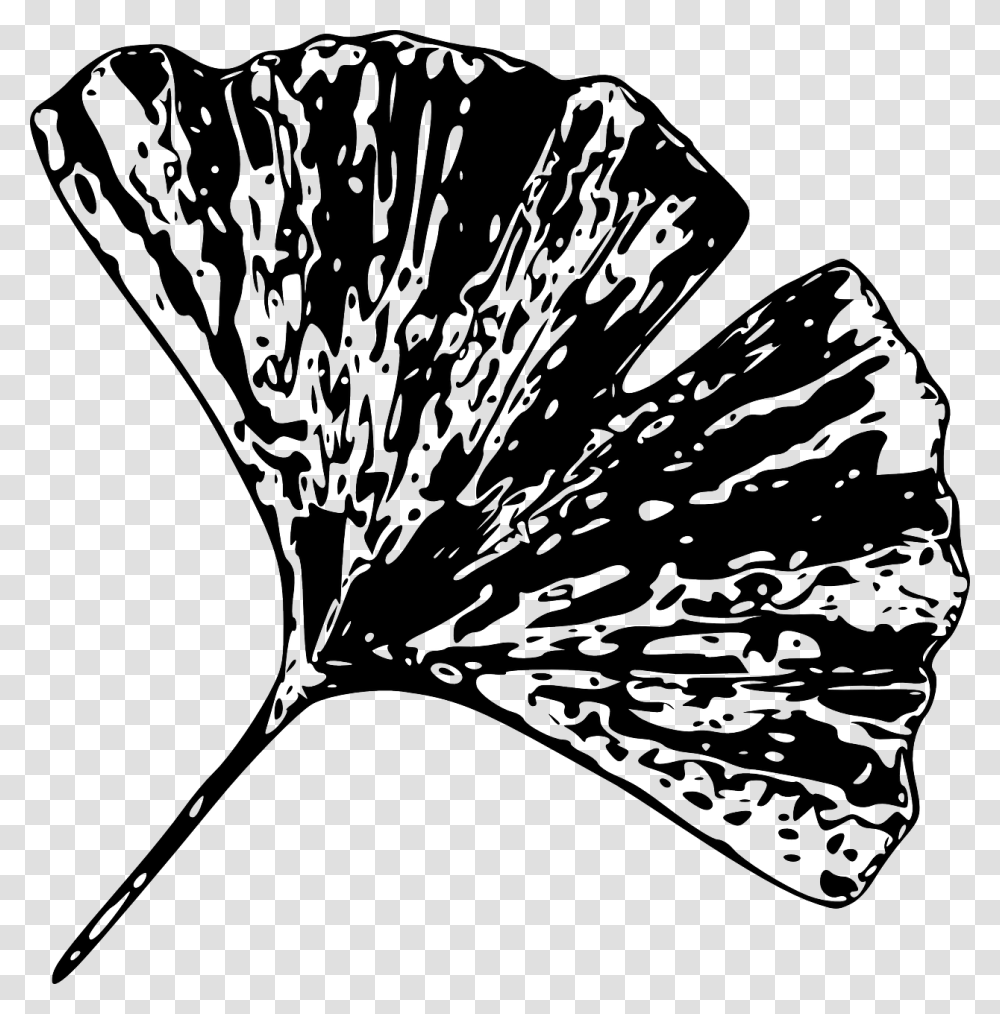 Black And White Gingko Leaf, Plant, Petal, Flower, Photography Transparent Png