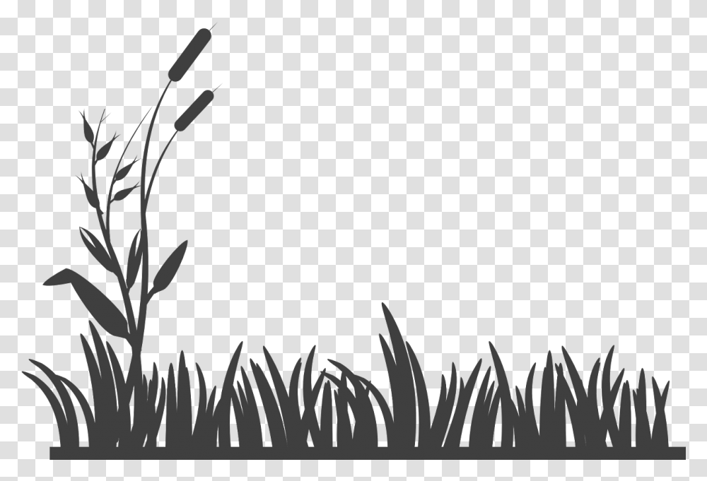 Black And White Grass, Plant, Silhouette, Flower, Blossom Transparent Png