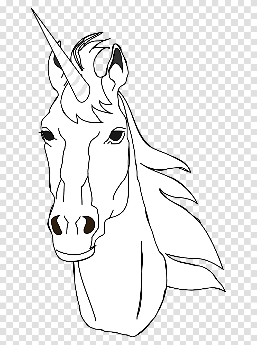 Black And White Horn, Mammal, Animal, Horse, Person Transparent Png