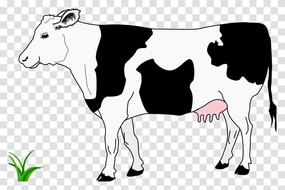 Black And White Image Of Cow, Silhouette, Stencil, Person, Human Transparent Png
