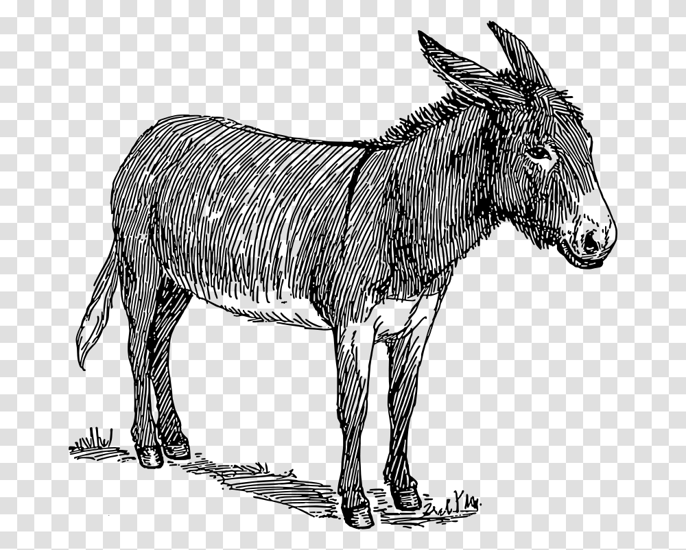 Black And White Image Of Donkey, Gray, World Of Warcraft Transparent Png