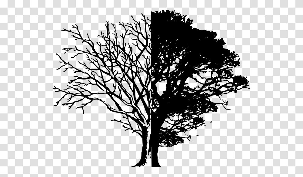 Black And White Minimalist Tree, Gray, World Of Warcraft Transparent Png