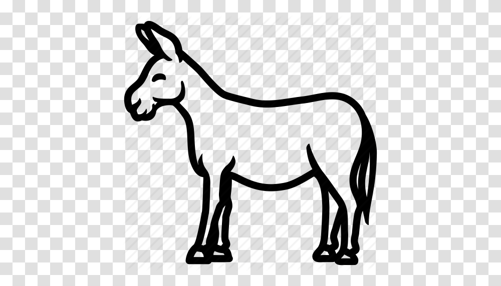 Black And White Mule Black And White Mule, Horse, Mammal, Animal, Colt Horse Transparent Png