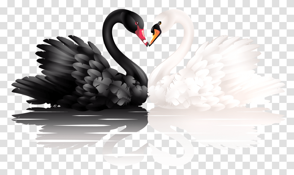 Black And White Of Shapes White And Black Swan, Bird, Animal, Waterfowl Transparent Png