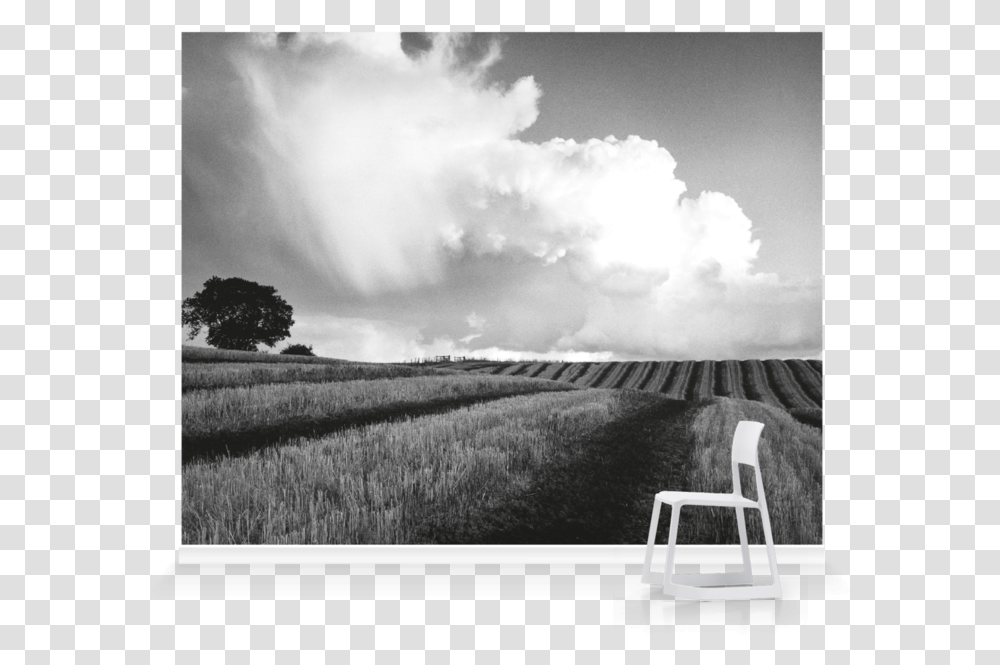 Black And White Photos Large, Nature, Outdoors, Field, Grassland Transparent Png