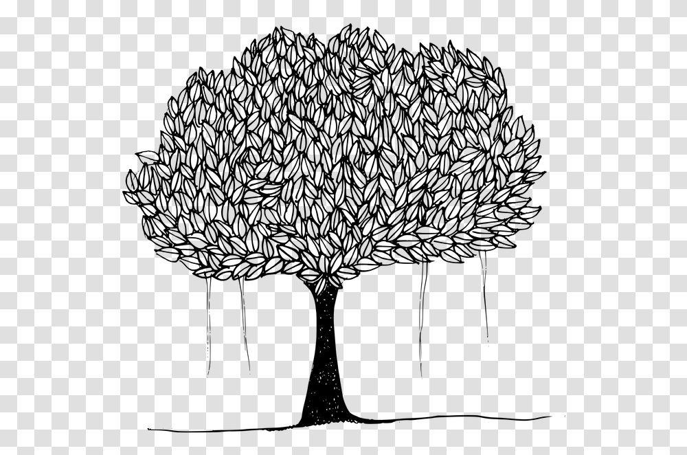 Black And White Picture Of Banyan Tree Drawing Of Peepal Tree, Gray, World Of Warcraft Transparent Png
