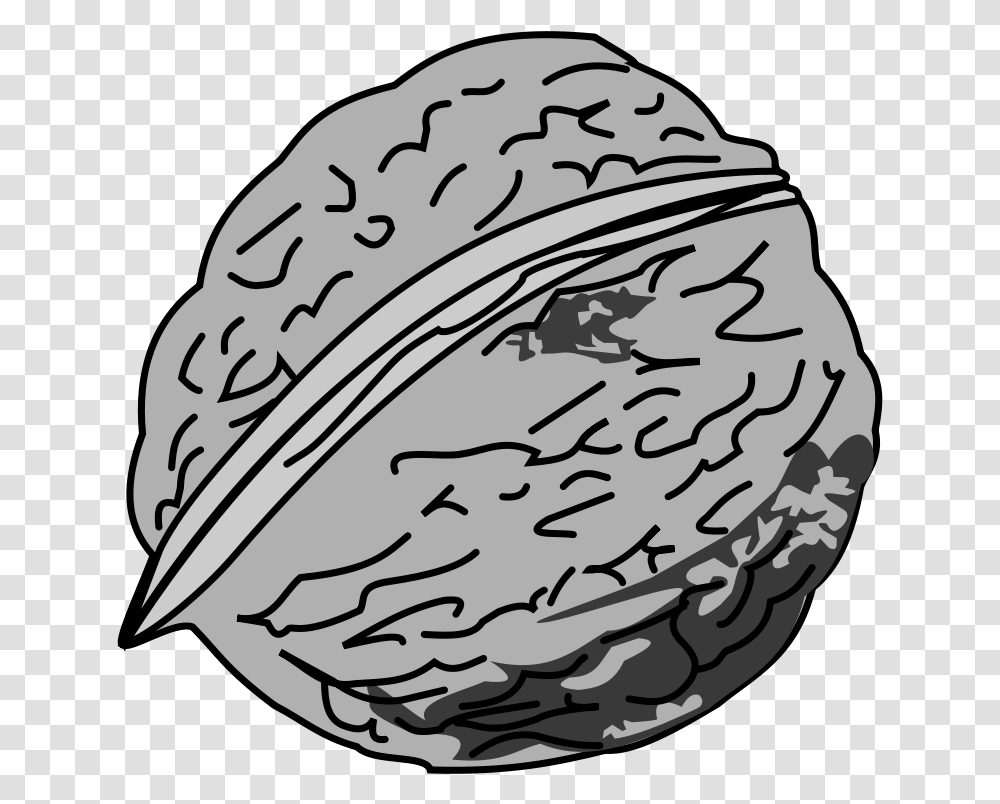 Black And White Picture Of Walnut Nut Black And White, Plant, Vegetable, Food, Produce Transparent Png