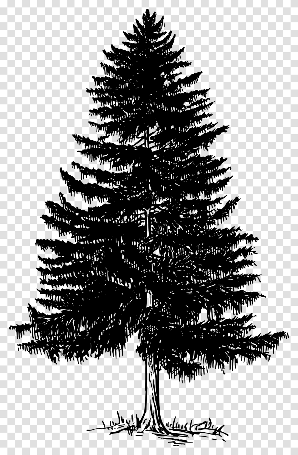 Black And White Pine Tree Vector Clipart Psd Pine Tree Black And White, Cross, Silhouette Transparent Png