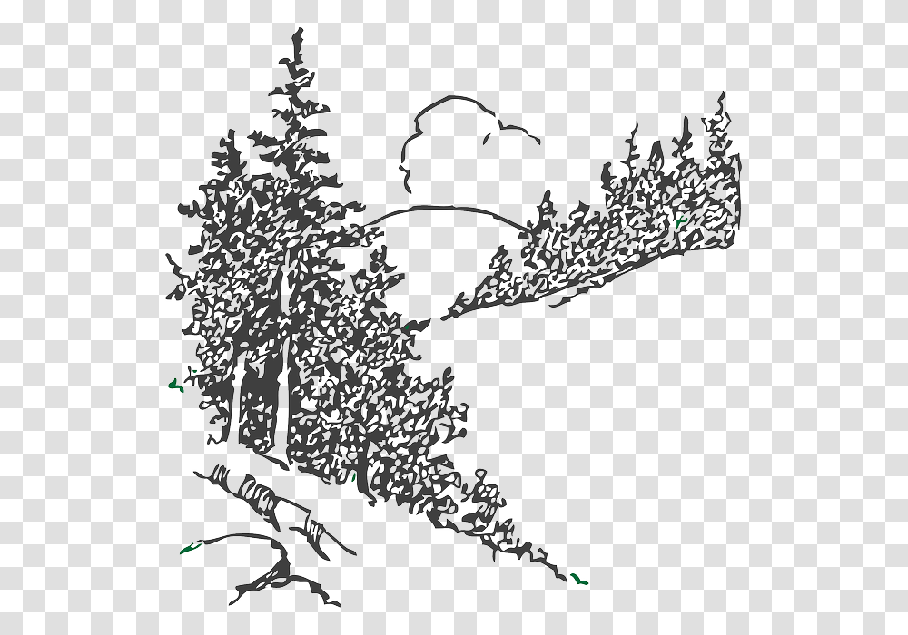 Black And White Pine Trees Clipart, Plant, Doodle, Drawing, Bird Transparent Png