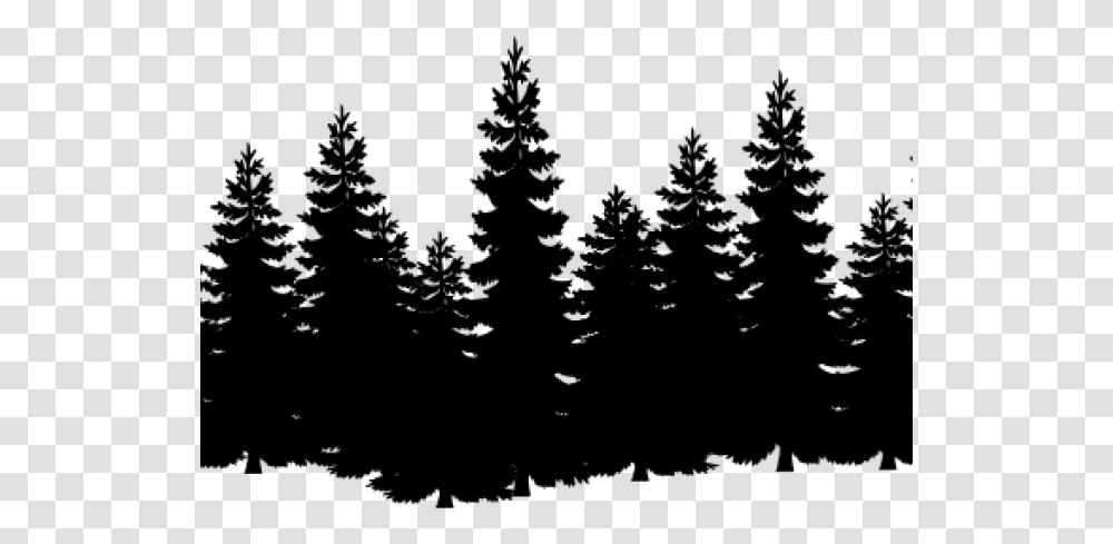 Black And White Pine Trees, Gray, World Of Warcraft Transparent Png