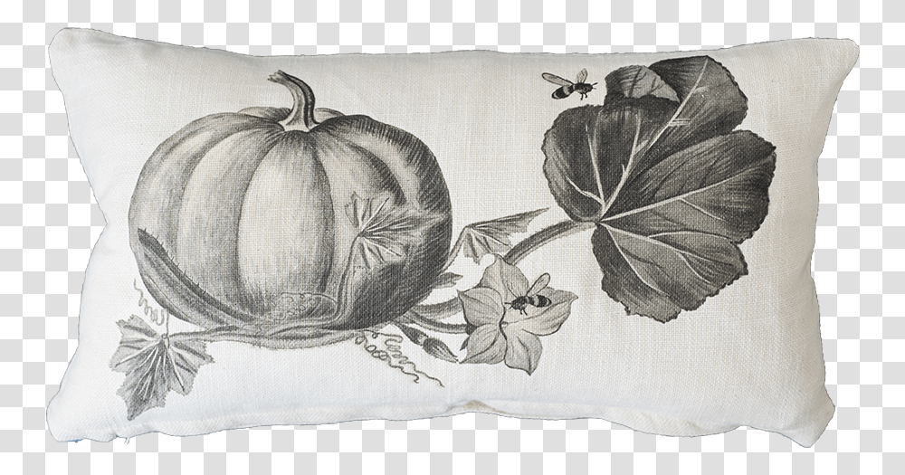 Black And White Pumpkin With Bee Pumpkin, Pillow, Cushion, Drawing Transparent Png