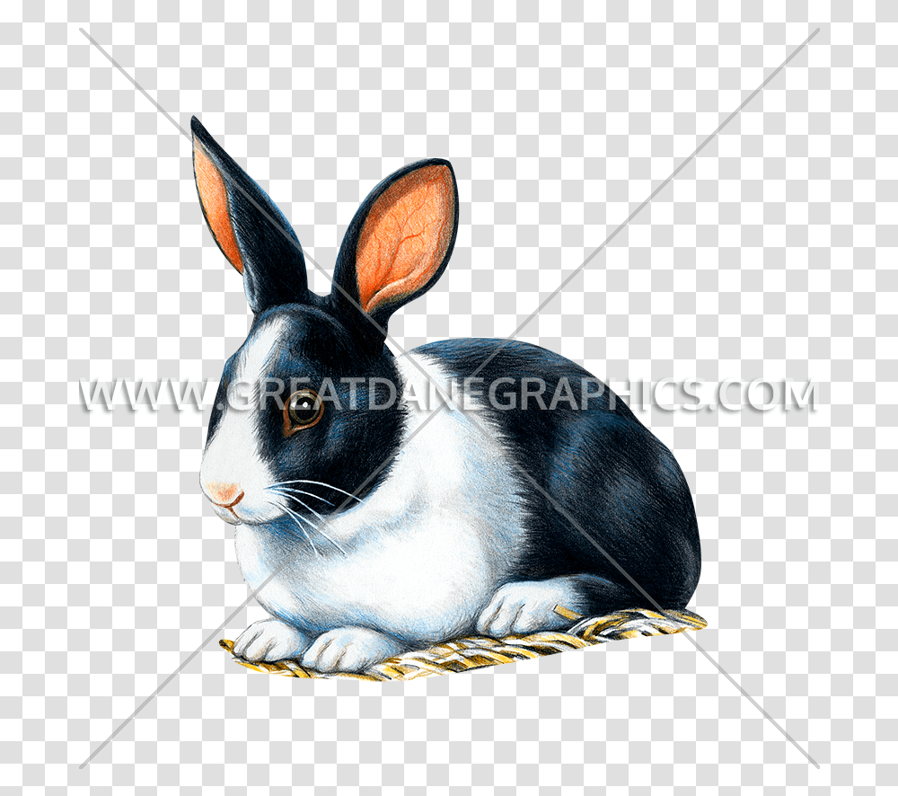 Black And White Rabbit Production Ready Artwork For T Animation, Mammal, Animal, Rodent, Bunny Transparent Png