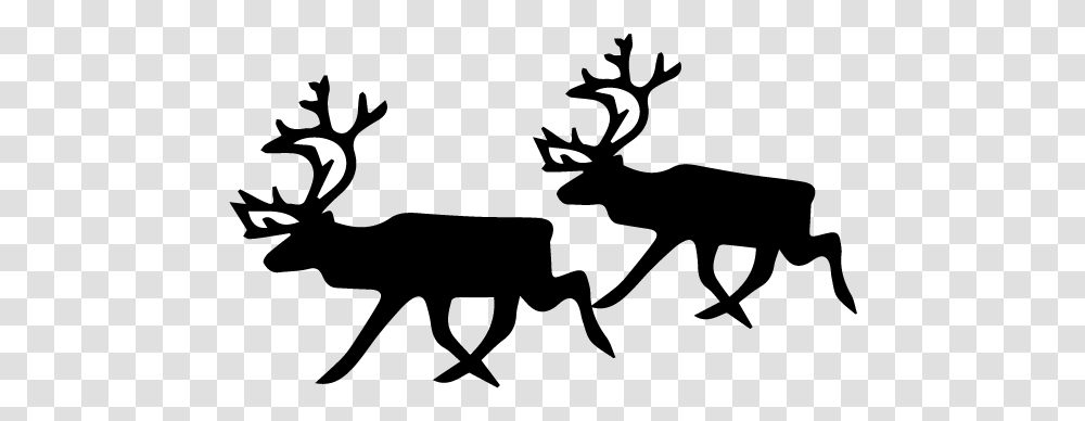 Black And White Reindeer, Moon, Astronomy, Nature Transparent Png