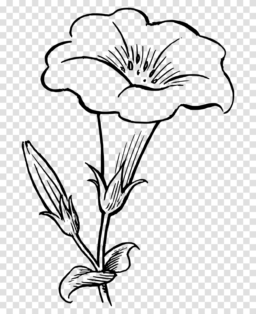 Black And White Rose Clipart Image Group, Gray, World Of Warcraft Transparent Png