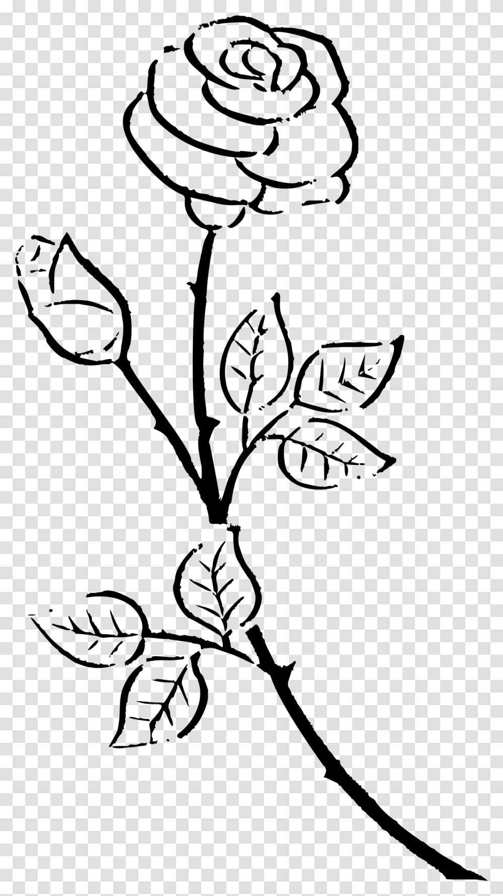 Black And White Rose Drawing, Gray, World Of Warcraft Transparent Png