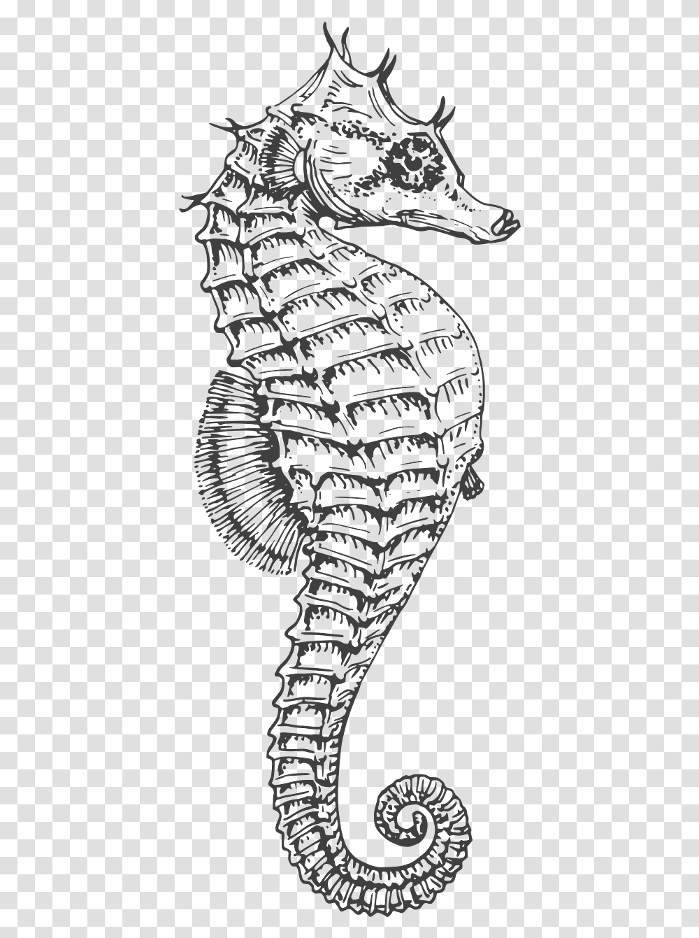 Black And White Seahorse, Rug, Long Sleeve, Apparel Transparent Png