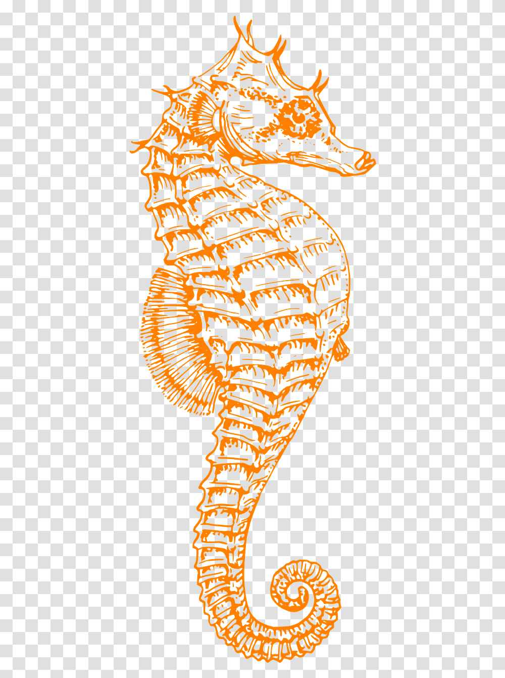 Black And White Seahorse, Label Transparent Png