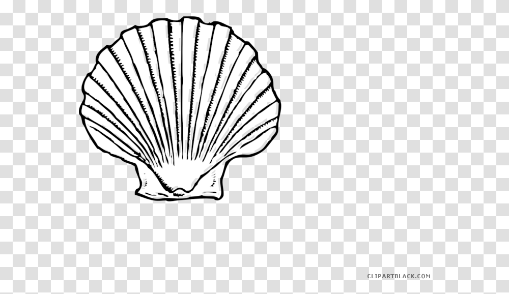Black And White Seashell Animal Free Black White Clipart Seashell Black And White, Invertebrate, Sea Life, Clam, Mixer Transparent Png