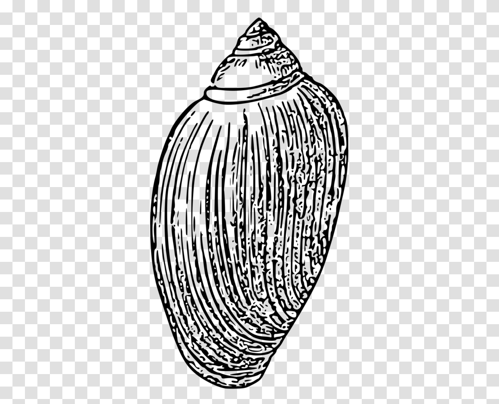 Black And White Seashell Bivalvia Drawing Download, Gray, World Of Warcraft Transparent Png