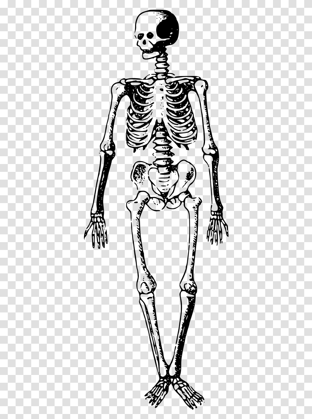 Black And White Skeleton Clipart, Gray, World Of Warcraft Transparent Png