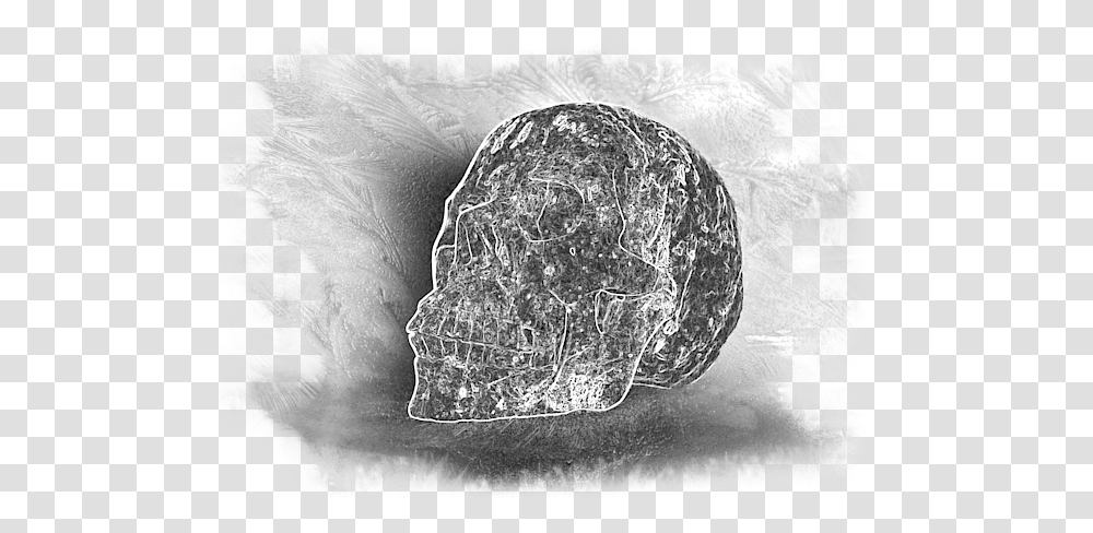 Black And White Skull Black And White, Soil, Fossil, Plant, Turtle Transparent Png