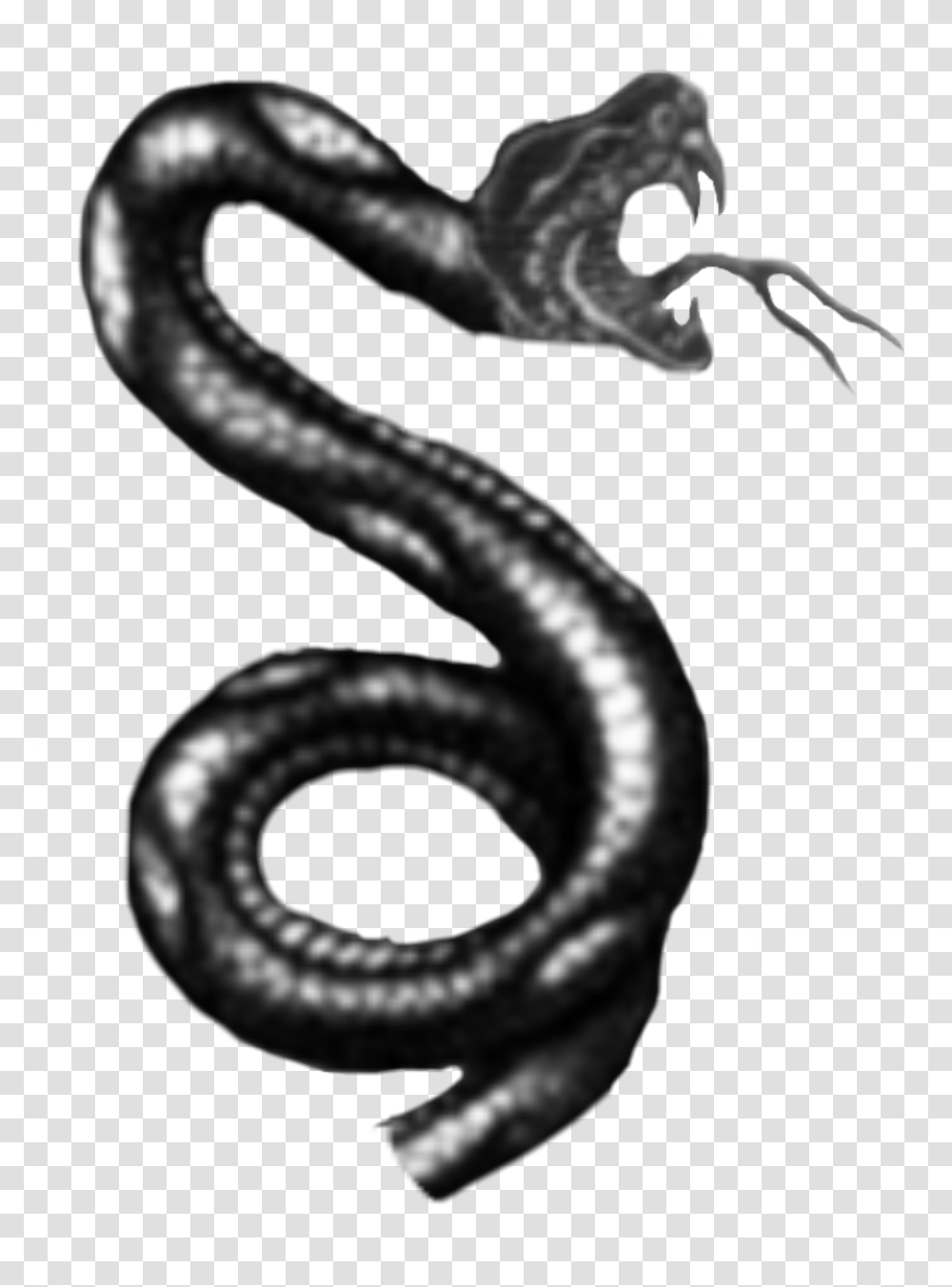 Black And White Snake Tattoo Designs, Animal, Reptile, Sea Life, Sea Snake Transparent Png