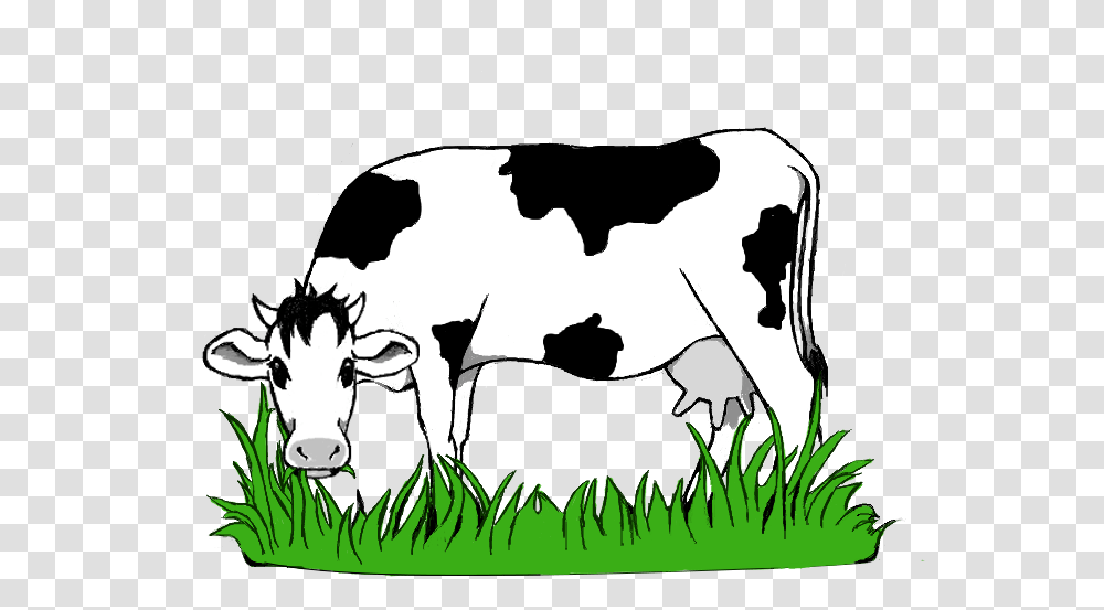 Black And White Stock Collection Of Grazing High Quality Cow Eating Grass, Cattle, Mammal, Animal, Dairy Cow Transparent Png