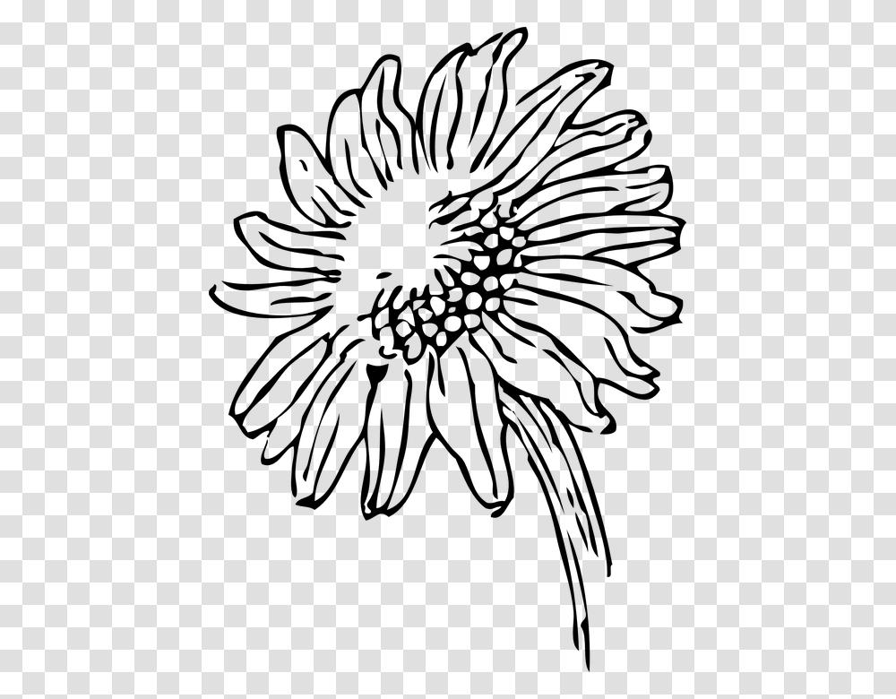 Black And White Sunflower Clipart, Gray, World Of Warcraft Transparent Png