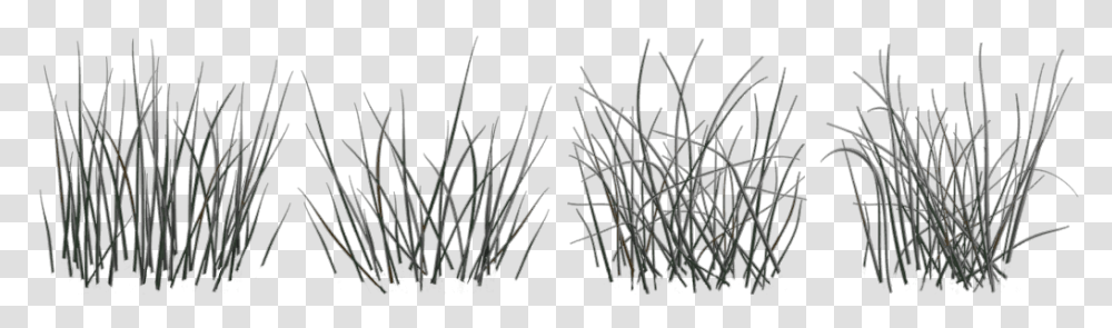 Black And White Texture Long Grass, Plant, Wood, Tree Transparent Png