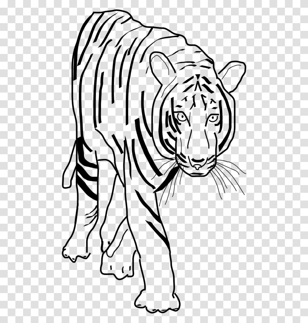 Black And White Tiger Clip Art, Outdoors, Nature, Gray, Outer Space Transparent Png