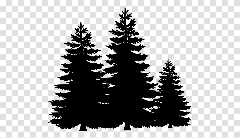 Black And White Tree Clipart, Plant, Christmas Tree, Ornament, Silhouette Transparent Png