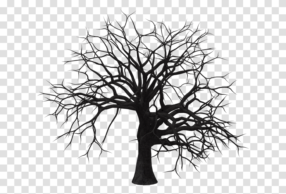 Black And White Tree, Nature, Plant, Outdoors, Silhouette Transparent Png