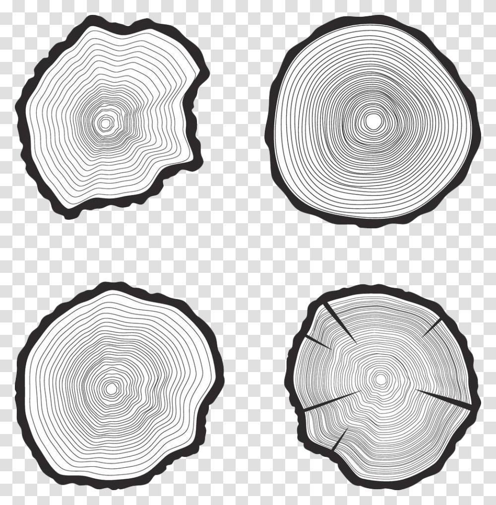 Black And White Tree Ring, Soccer Ball, Pattern, Tortoise, Turtle Transparent Png