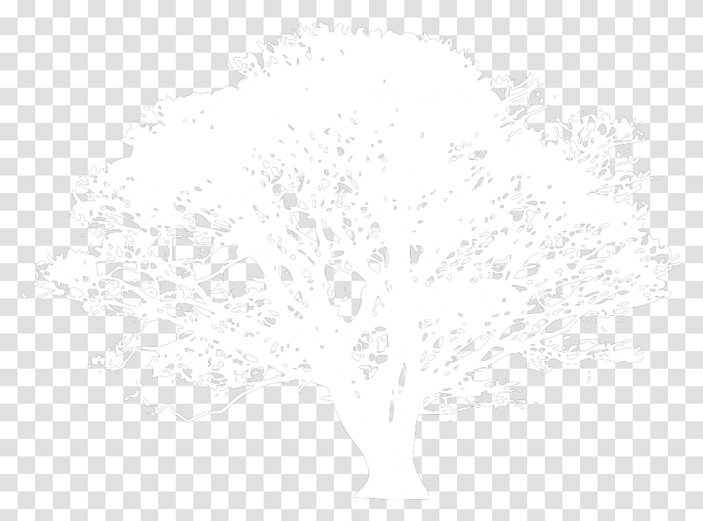 Black And White Tree Svg Clip Arts Kayu Malam Production, Plant, Flower, Blossom, Stencil Transparent Png