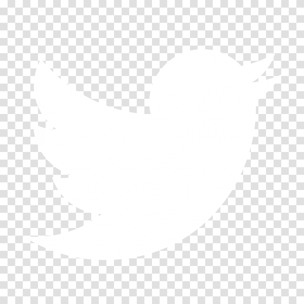 Black And White Twitter Bird Logo Twitter Logo White Vector, Shark, Sea Life, Fish, Animal Transparent Png