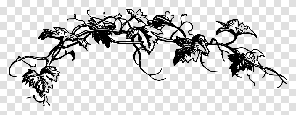 Black And White Vine Clip Art Flower Vine Clipart Black And White, Gray, World Of Warcraft Transparent Png