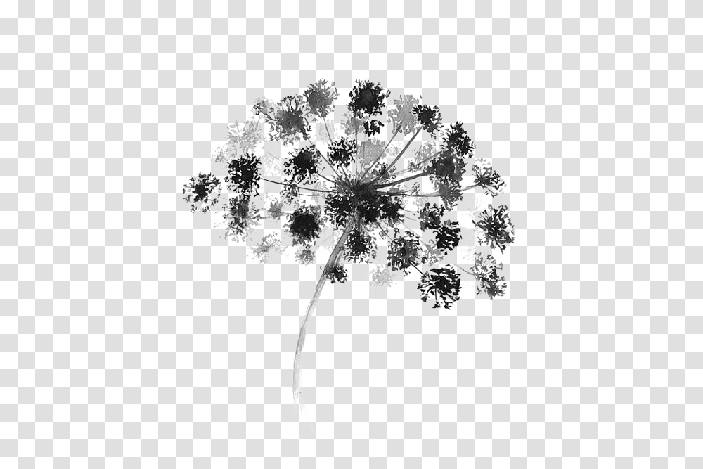 Black And White Watercolor Painting Flower Graphic Watercolor Black And White Flower, Plant, Blossom, Snowflake, Photography Transparent Png