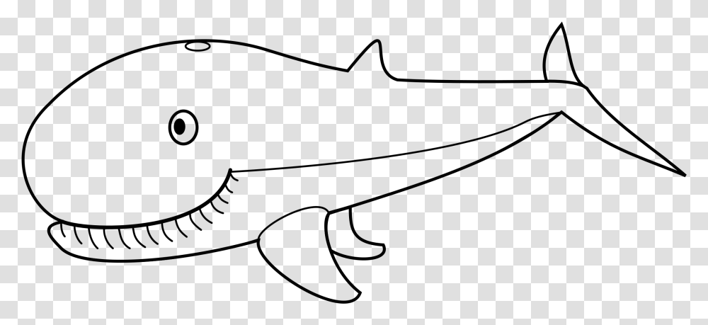 Black And White Whale Outline Pictures Of Whale, Gray, World Of Warcraft Transparent Png