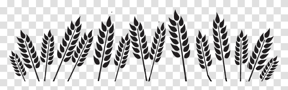 Black And White Wheat, Plant, Pattern, Veins, Leaf Transparent Png