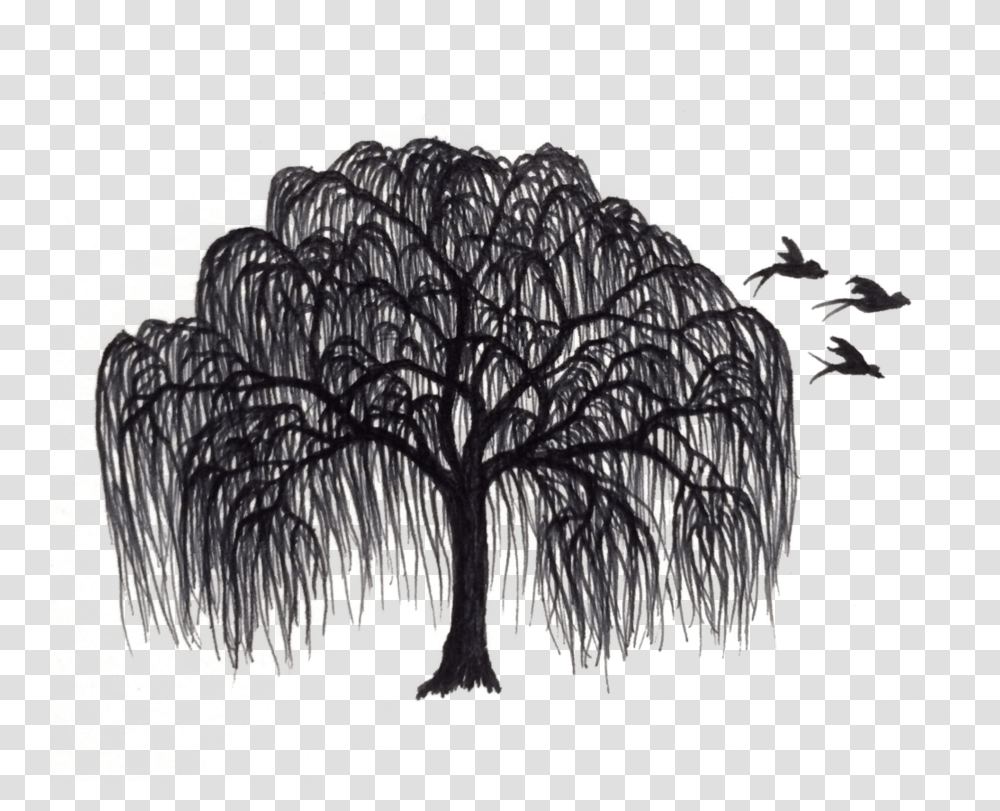 Black And White Willow Tree Clipart Willow Tree Silhouette, Plant, Fungus, Grass, Tree Trunk Transparent Png