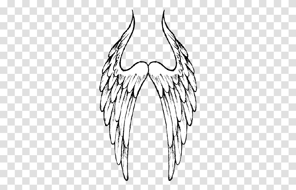 Black Angel Wings 6662 Transparentpng Sketch, Eagle, Bird, Animal, Waterfowl Transparent Png