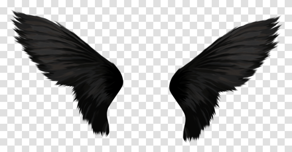 Black Angel Wings, Bird, Animal, Angora Transparent Png