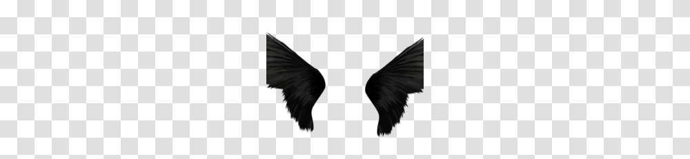 Black Angel Wings Download Image Vector Clipart, Person, Animal, Bird Transparent Png