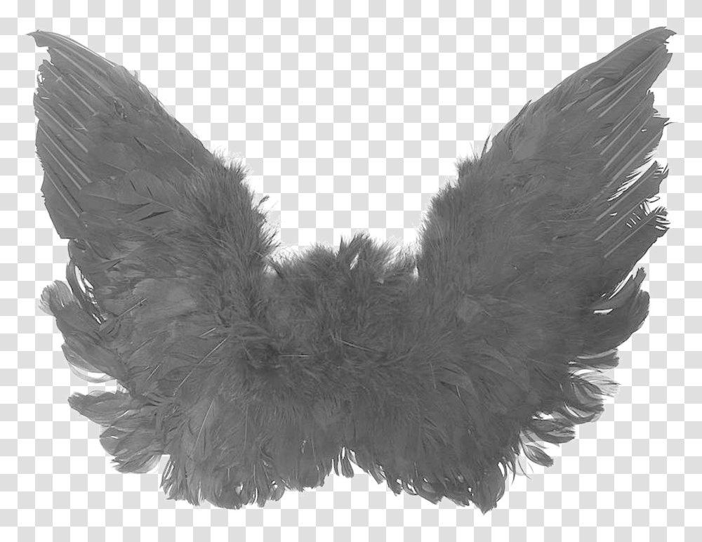 Black Angel Wings High Quality Image Black Small Wings, Apparel, Bird, Animal Transparent Png